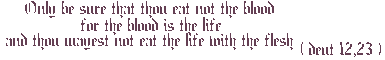 “ただ、血は絶対に食べてはならない。血はいのちだからである。肉とともにいのちを食べてはならない。”申命記第１２章２３節